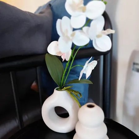 Cosy Studio, Proche Hec Et Gare Apartment *